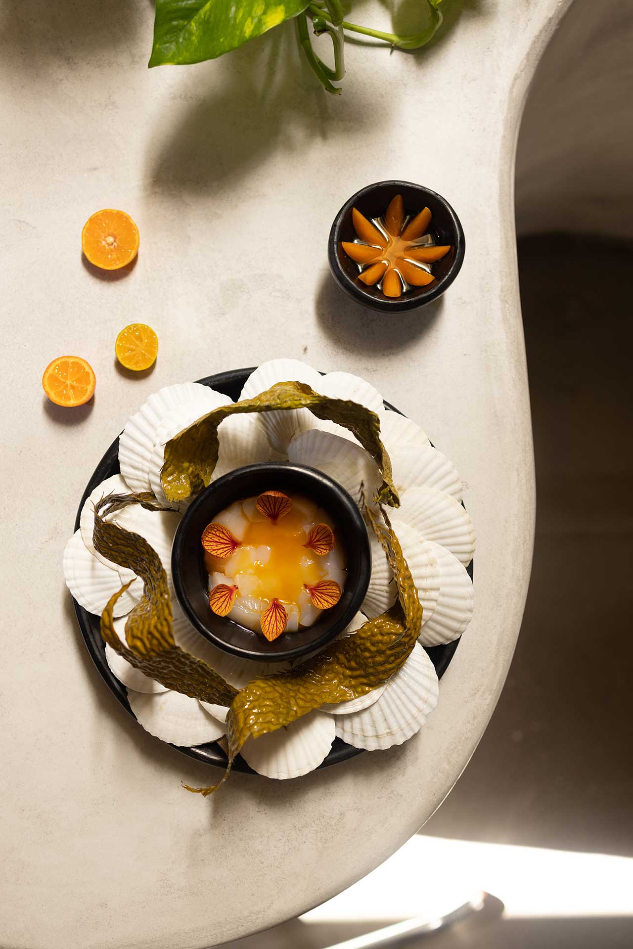 citrus fruit cut into slices and arranged in a bowl surrounded by seashells on a beige table