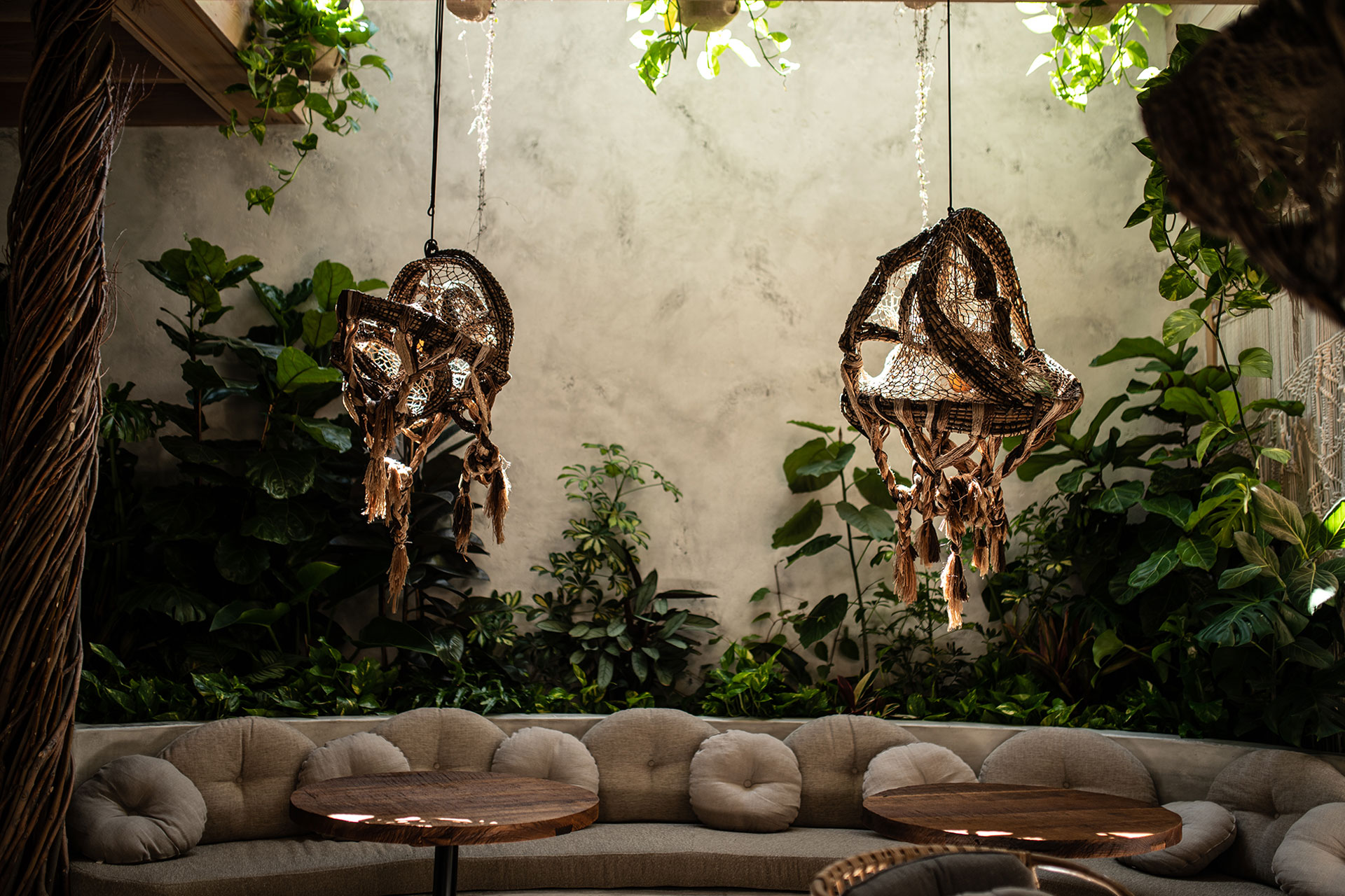 meteora shot of banquette bathed in daylight surrounded by plants and hanging rope-light light fixtures